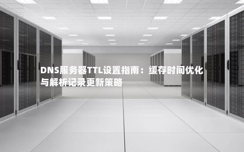 DNS服务器TTL设置指南：缓存时间优化与解析记录更新策略