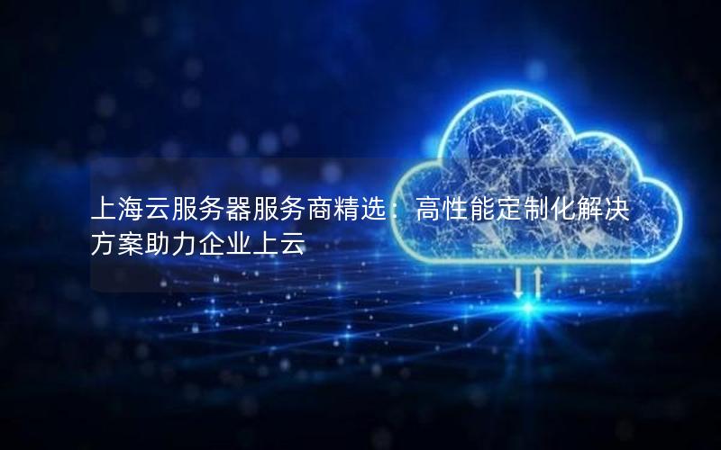 上海云服务器服务商精选：高性能定制化解决方案助力企业上云