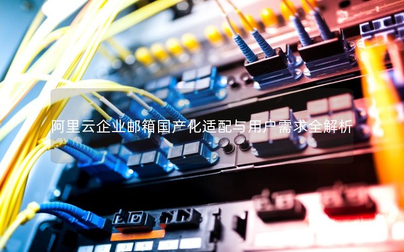 阿里云企业邮箱国产化适配与用户需求全解析