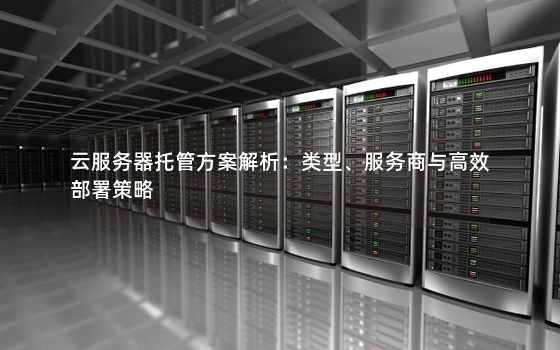 云服务器托管方案解析：类型、服务商与高效部署策略