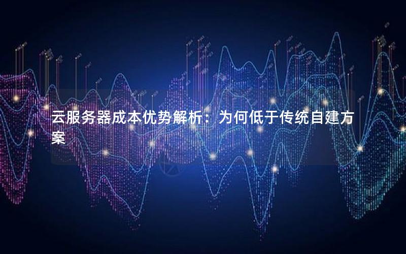 云服务器成本优势解析：为何低于传统自建方案