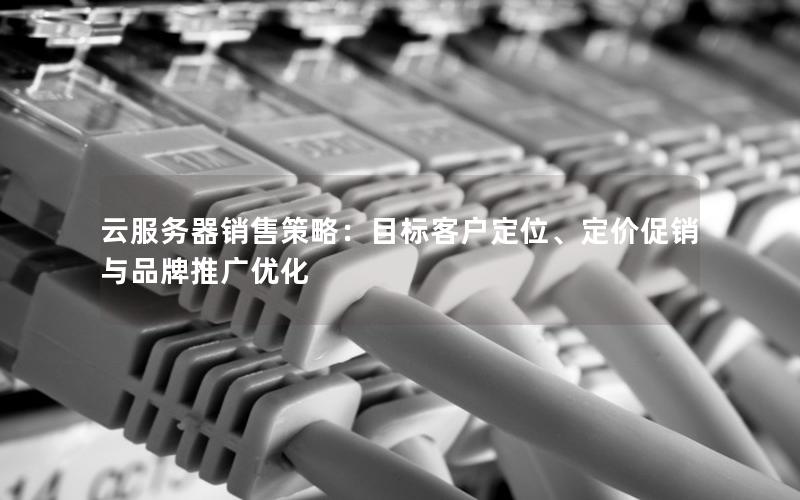 云服务器销售策略：目标客户定位、定价促销与品牌推广优化