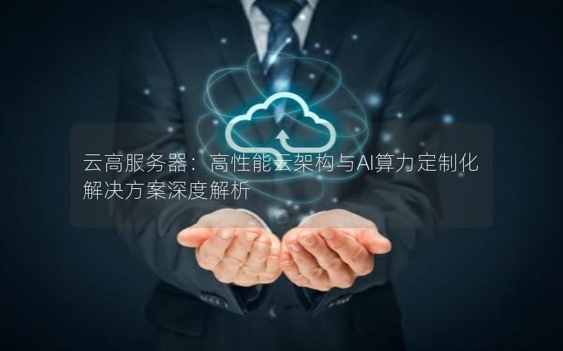 云高服务器：高性能云架构与AI算力定制化解决方案深度解析