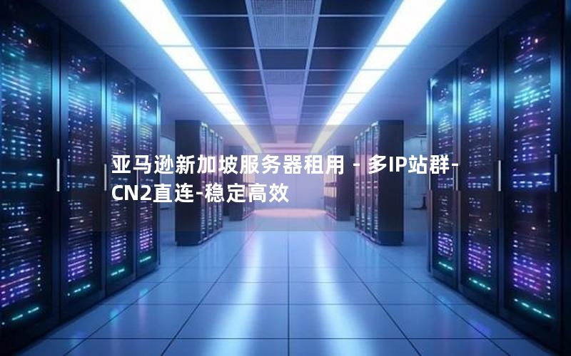 亚马逊新加坡服务器租用 - 多IP站群-CN2直连-稳定高效