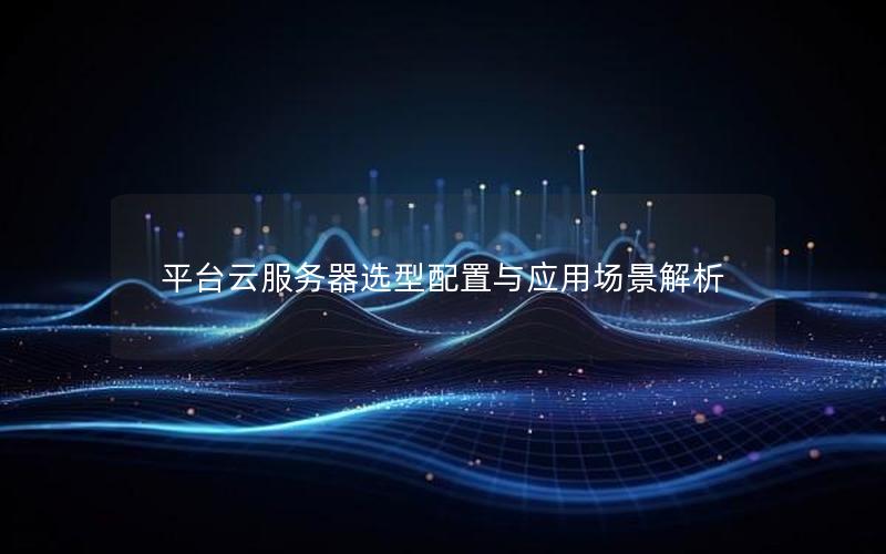 平台云服务器选型配置与应用场景解析