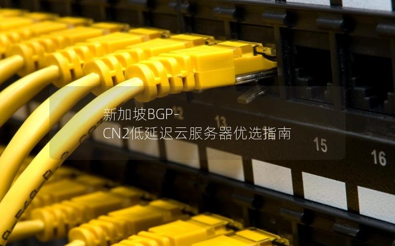 新加坡BGP-CN2低延迟云服务器优选指南