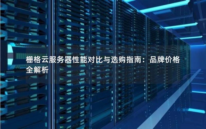 栅格云服务器性能对比与选购指南：品牌价格全解析