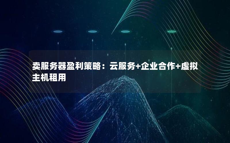 卖服务器盈利策略：云服务+企业合作+虚拟主机租用