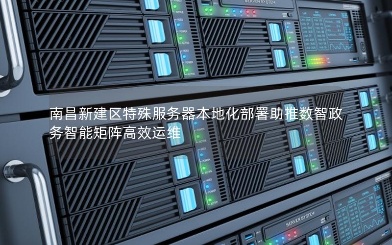 南昌新建区特殊服务器本地化部署助推数智政务智能矩阵高效运维