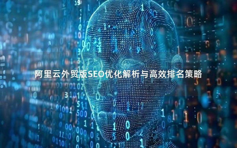 阿里云外贸版SEO优化解析与高效排名策略