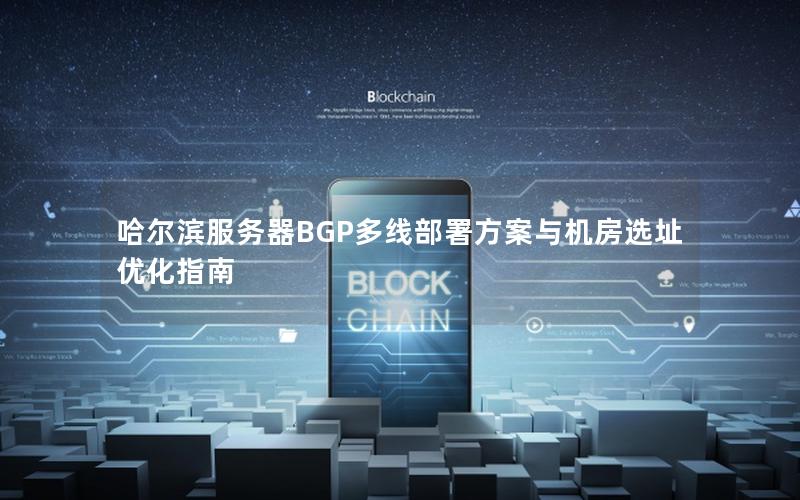 哈尔滨服务器BGP多线部署方案与机房选址优化指南