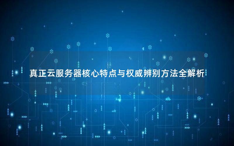 真正云服务器核心特点与权威辨别方法全解析