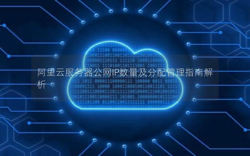 阿里云服务器公网IP数量及分配管理指南解析
