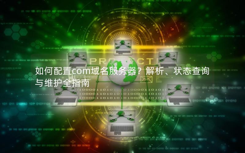 如何配置com域名服务器？解析、状态查询与维护全指南