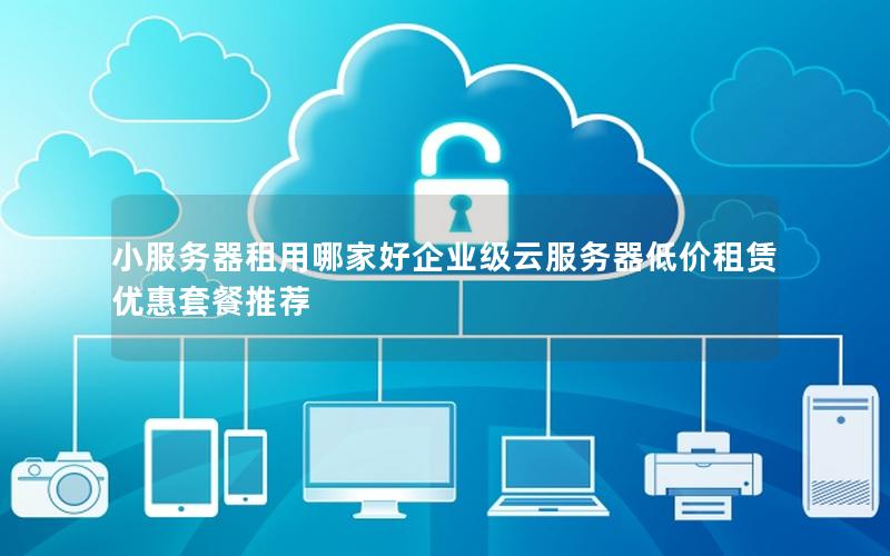 小服务器租用哪家好企业级云服务器低价租赁优惠套餐推荐