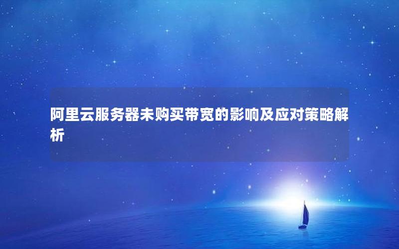 阿里云服务器未购买带宽的影响及应对策略解析