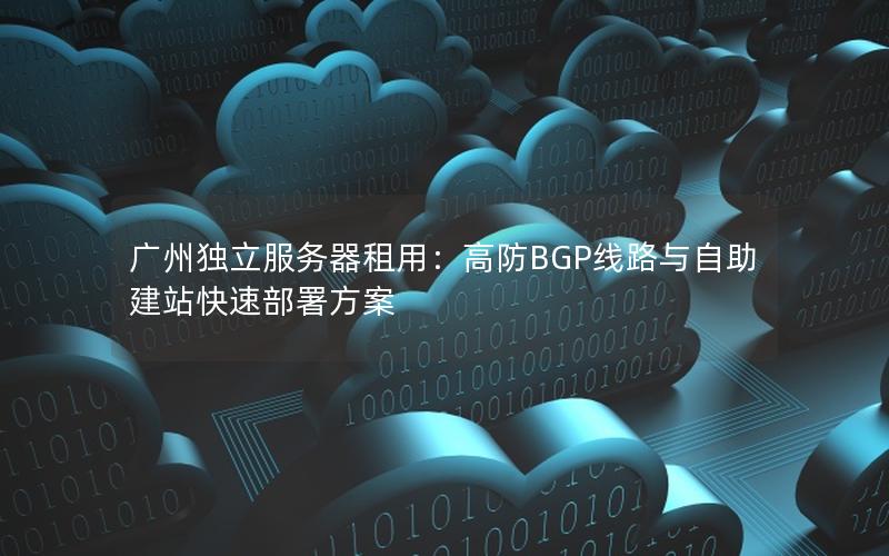 广州独立服务器租用：高防BGP线路与自助建站快速部署方案