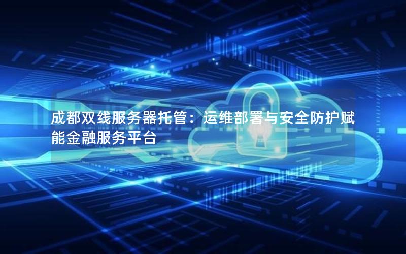 成都双线服务器托管：运维部署与安全防护赋能金融服务平台
