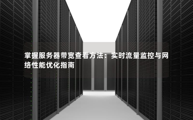 掌握服务器带宽查看方法：实时流量监控与网络性能优化指南