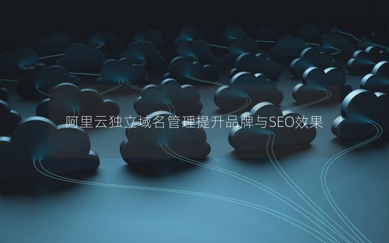 阿里云独立域名管理提升品牌与SEO效果