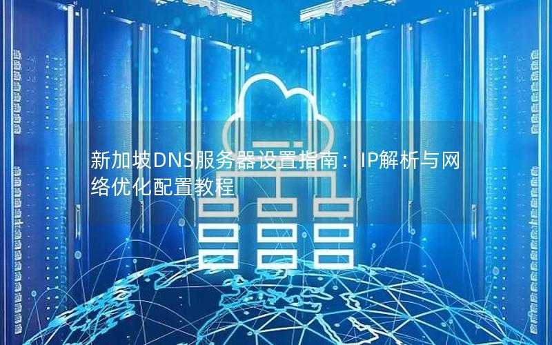 新加坡DNS服务器设置指南：IP解析与网络优化配置教程
