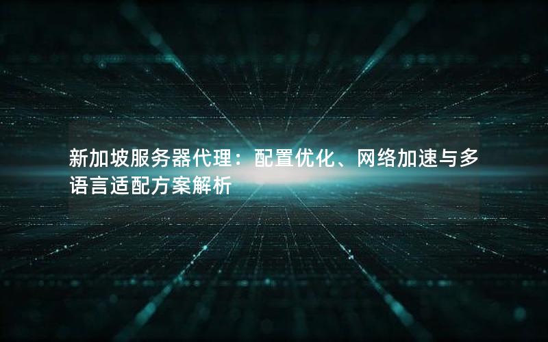 新加坡服务器代理：配置优化、网络加速与多语言适配方案解析