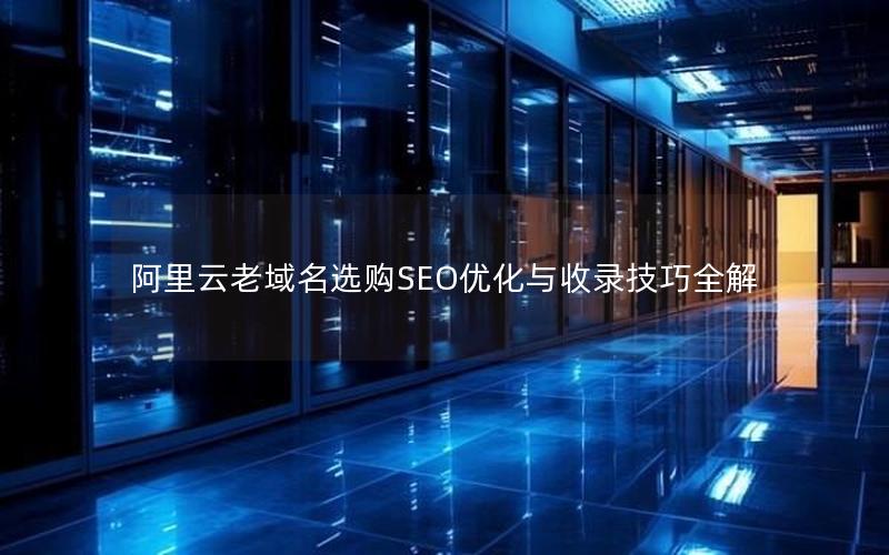 阿里云老域名选购SEO优化与收录技巧全解