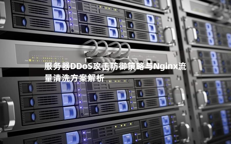 服务器DDoS攻击防御策略与Nginx流量清洗方案解析
