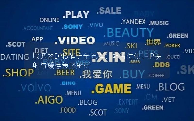 服务器DNS解析全流程：配置优化、IP映射与缓存策略解析