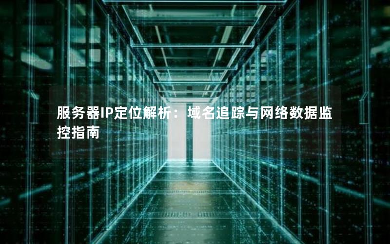 服务器IP定位解析：域名追踪与网络数据监控指南
