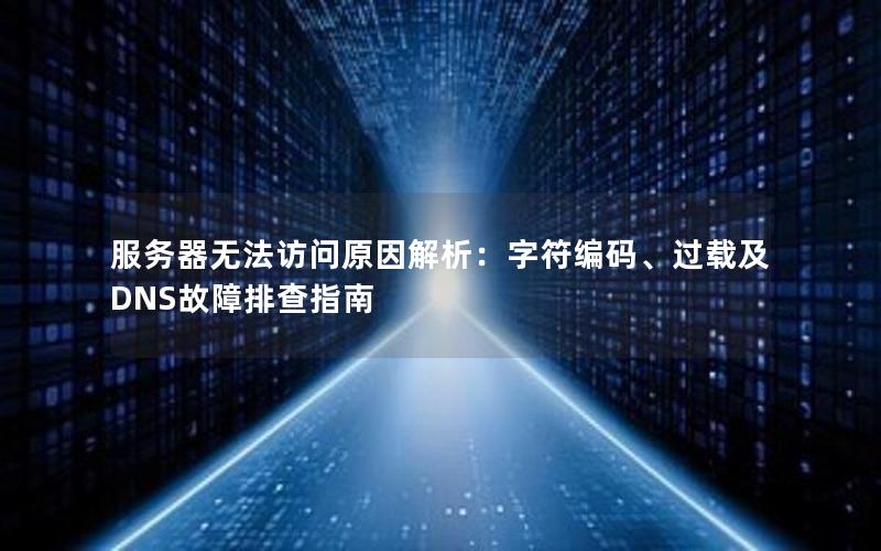 服务器无法访问原因解析：字符编码、过载及DNS故障排查指南
