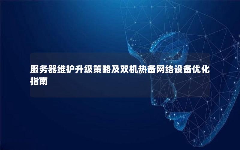 服务器维护升级策略及双机热备网络设备优化指南