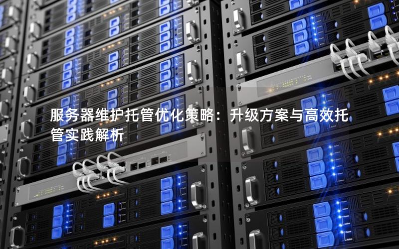 服务器维护托管优化策略：升级方案与高效托管实践解析