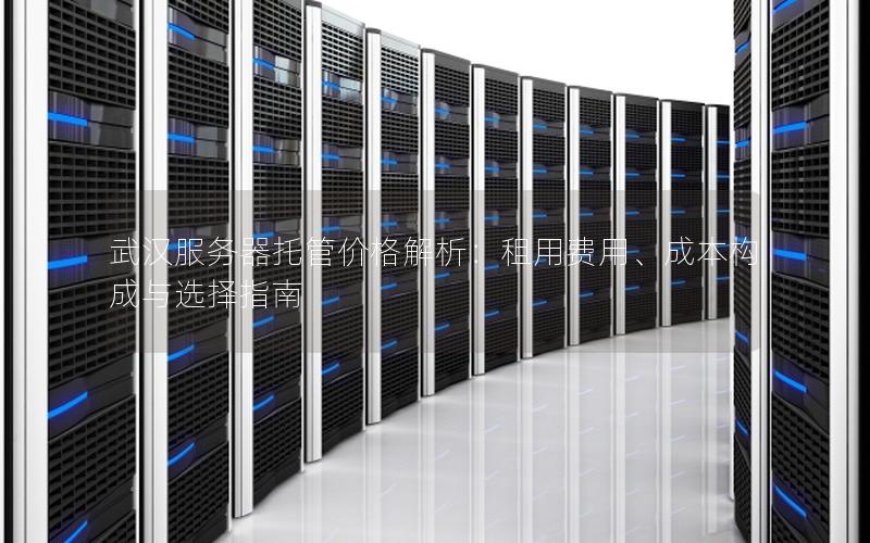武汉服务器托管价格解析：租用费用、成本构成与选择指南