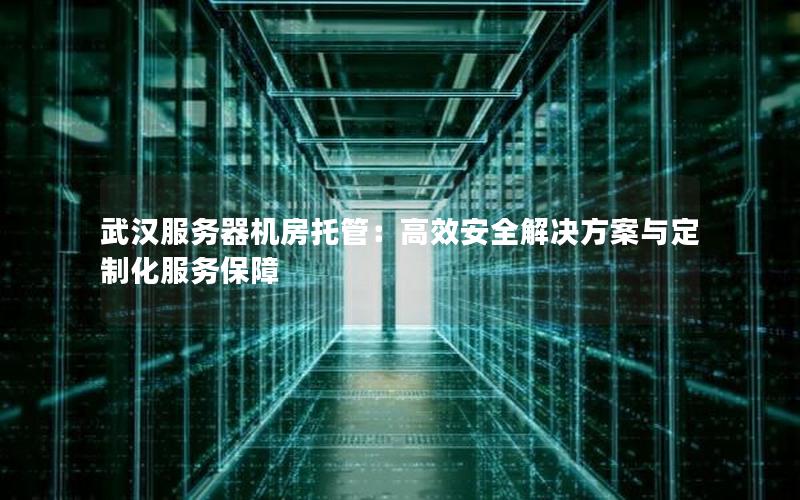 武汉服务器机房托管：高效安全解决方案与定制化服务保障