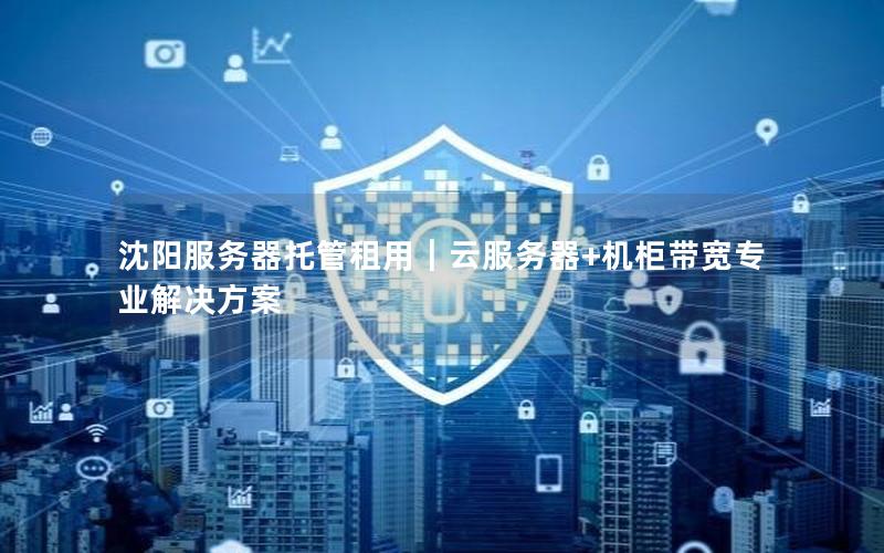 沈阳服务器托管租用｜云服务器+机柜带宽专业解决方案