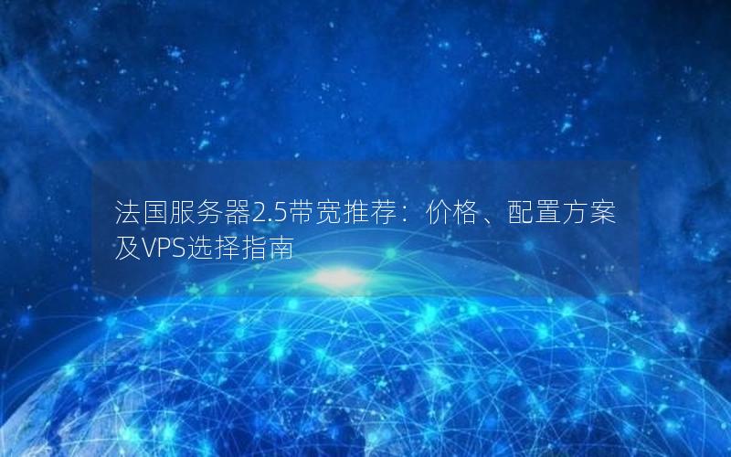 法国服务器2.5带宽推荐：价格、配置方案及VPS选择指南