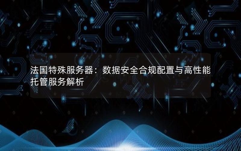 法国特殊服务器：数据安全合规配置与高性能托管服务解析