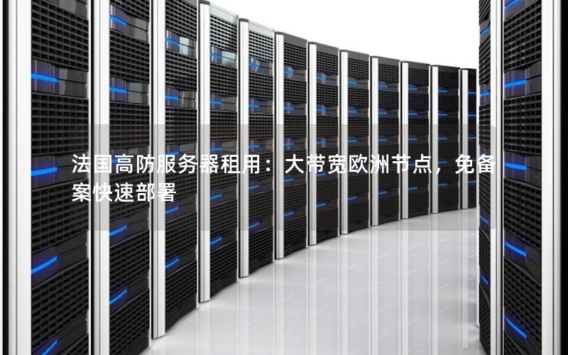 法国高防服务器租用：大带宽欧洲节点，免备案快速部署
