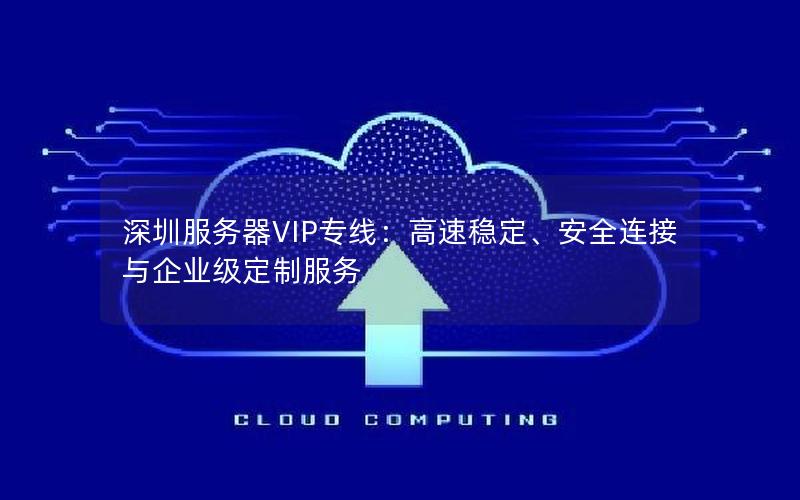 深圳服务器VIP专线：高速稳定、安全连接与企业级定制服务
