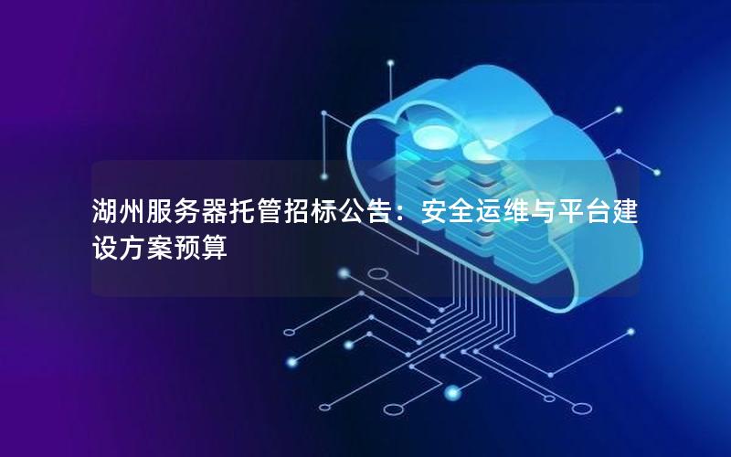 湖州服务器托管招标公告：安全运维与平台建设方案预算