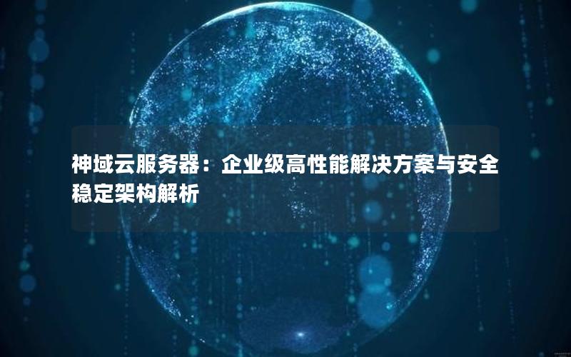 神域云服务器：企业级高性能解决方案与安全稳定架构解析