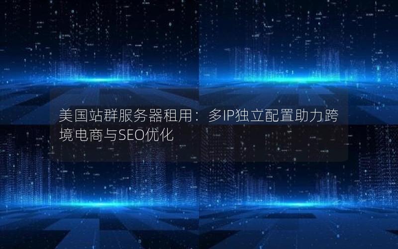 美国站群服务器租用：多IP独立配置助力跨境电商与SEO优化