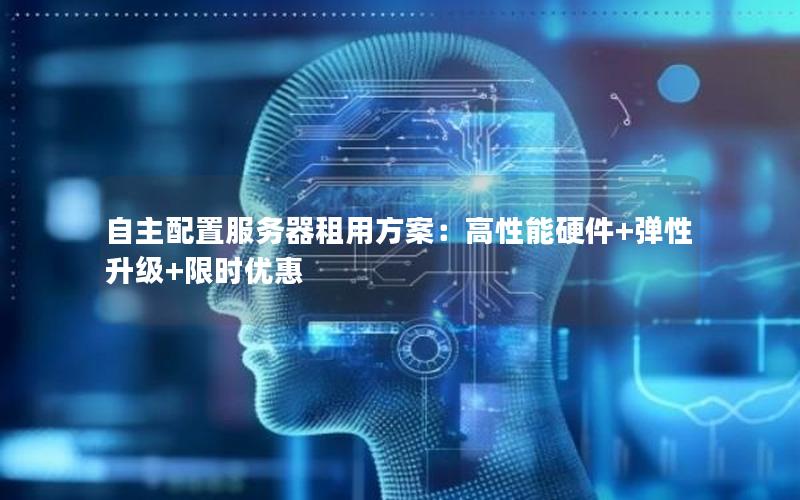 自主配置服务器租用方案：高性能硬件+弹性升级+限时优惠