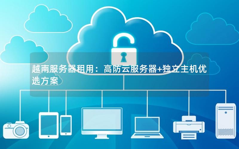 越南服务器租用：高防云服务器+独立主机优选方案