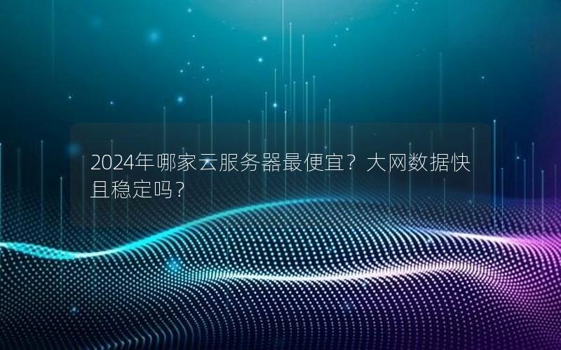 2024年哪家云服务器最便宜？大网数据快且稳定吗？