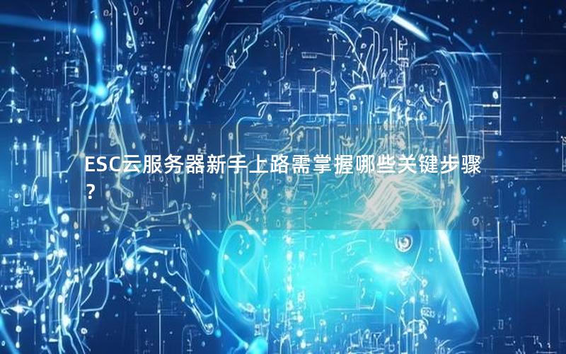 ESC云服务器新手上路需掌握哪些关键步骤？