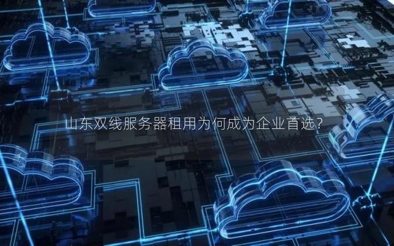 山东双线服务器租用为何成为企业首选？