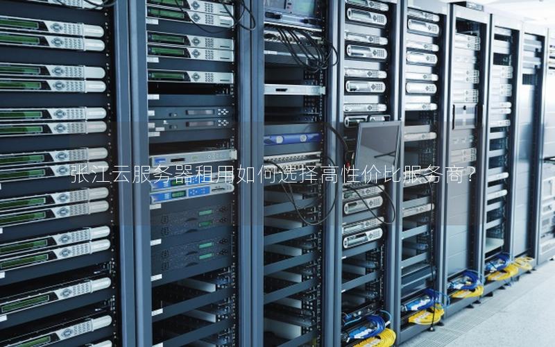 张江云服务器租用如何选择高性价比服务商？