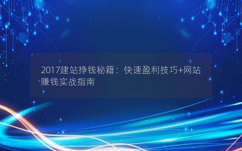 2017建站挣钱秘籍：快速盈利技巧+网站赚钱实战指南